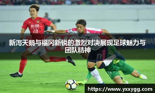 新泻天鹅与福冈新锐的激烈对决展现足球魅力与团队精神
